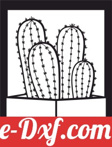 potted cactus plant home decor