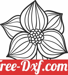 Decorative Flower decor