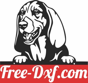 Basset Hound's dog custom name sign