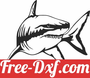shark wall design fish clipart