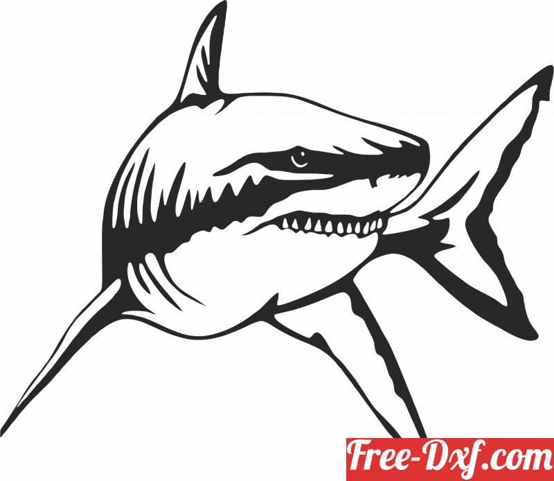 Download Shark Wall Design Fish Clipart 2ihfx High Quality Free D