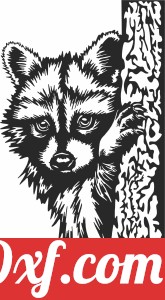 Raccoon behind tree