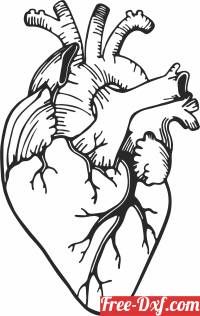 download Realistic Heart clipart free ready for cut