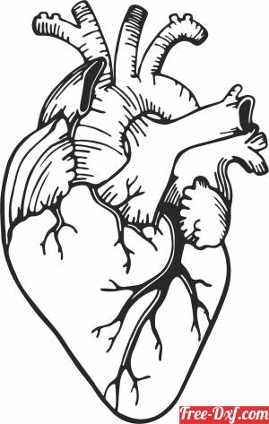 download Realistic Heart clipart free ready for cut