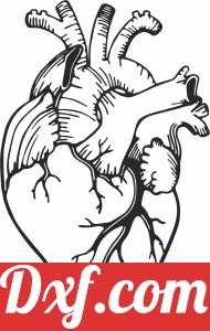Realistic Heart clipart