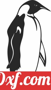 Penguin clipart