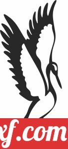 Bird Swan clipart