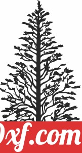 pine Tree Silhouette