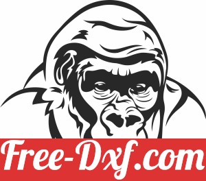 Gorilla Portrait Monkey clipart