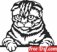 download Scottish Fold cat clipart free ready for cut