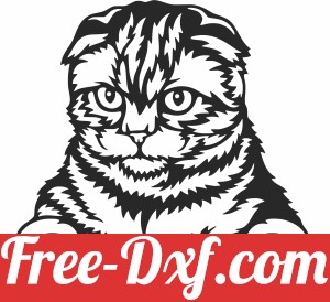 Scottish Fold cat clipart