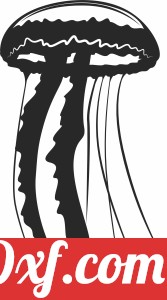 Jellyfish clipart