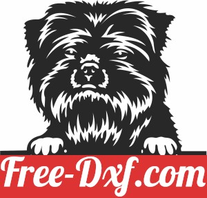 Affenpinscher dog custom name sign