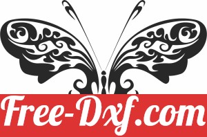 Butterfly art