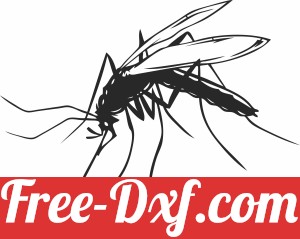mosquito clipart insect