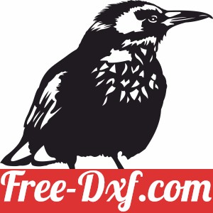 Bird wall decor Home Decoration