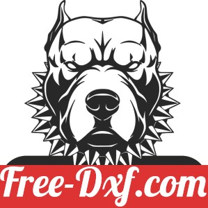 Private space pitbull face