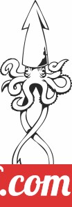 Octopus  clipart