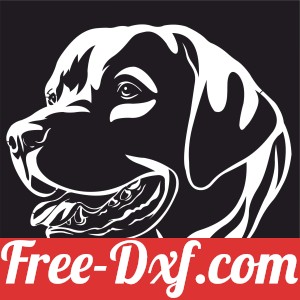 labrador Dogs wall decor
