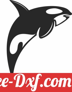 Orca wall design fish clipart