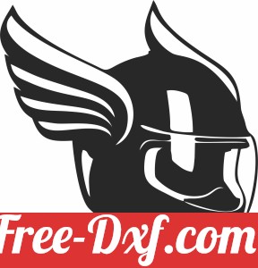 motorcycle helmet with wings