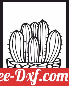 cactus Succulents Plant pot