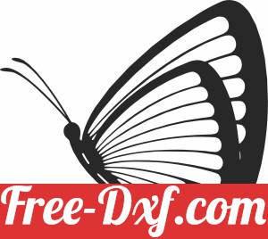 Butterfly decorative