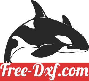 Killer whale wall art