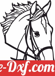 Horse face clipart