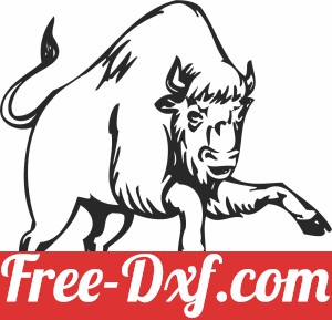 bull clipart