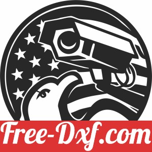 American Eagle and Security Camera USA Flag