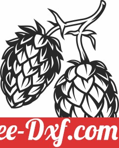 beer hops cones