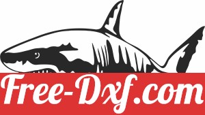 shark wall decor fish clipart