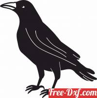 download seagull bird silhouette free ready for cut