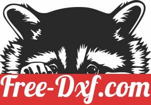 Racoon wall decor