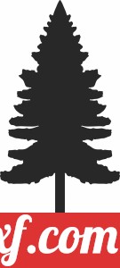 pine Tree vector Silhouette