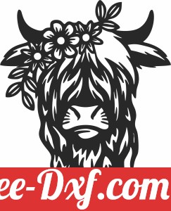 Highland Cow with flower