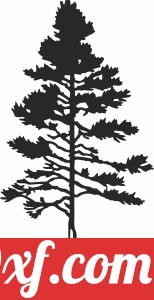 Pine Tree Silhouette