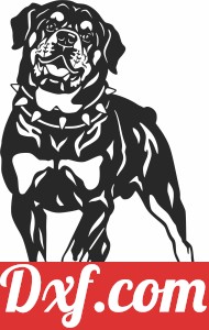 Rottweiler dog clipart