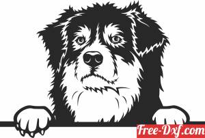 download Australian Shepherd's dog clipart free ready for cut