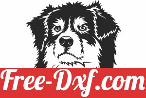 Australian Shepherd's dog clipart