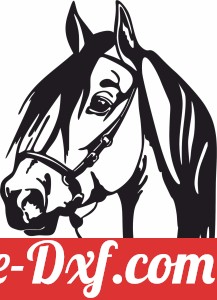 Horse face scene clipart