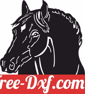 Horse face