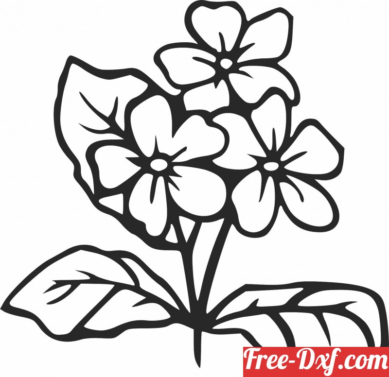 Download Floral flowers home decor ai WN6et High quality free