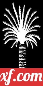 Palm decorative panel door pattern