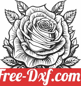 Rose flower art