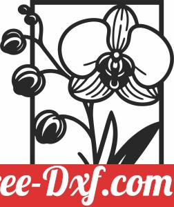 Orchid flower wall decor