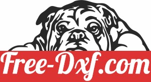 Bull dog clipart
