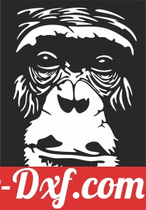 Gorilla face wall decor