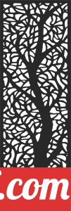 decorative   door   Wall